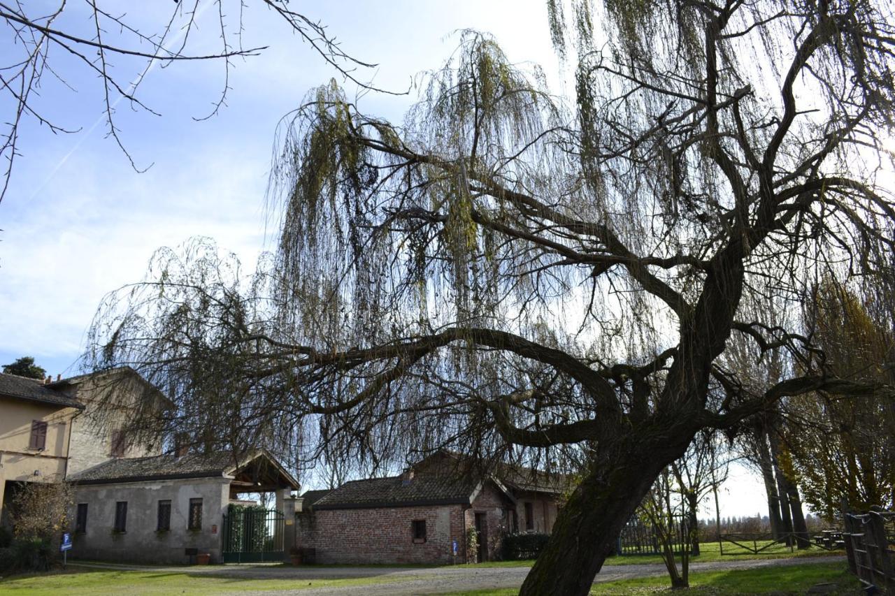 帕维亚卡尔特修道院Agriturismo Fiamberta住宿加早餐旅馆 外观 照片